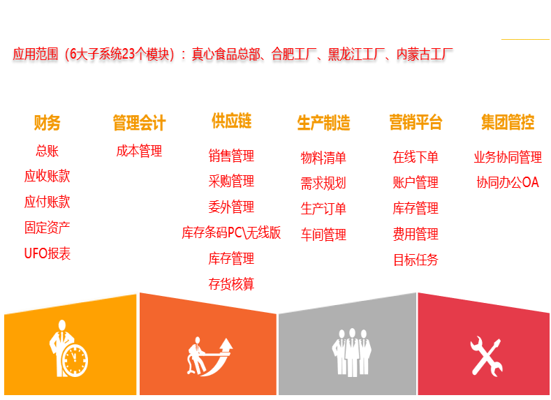 安徽真心食品有限公司数字化管理实施案例