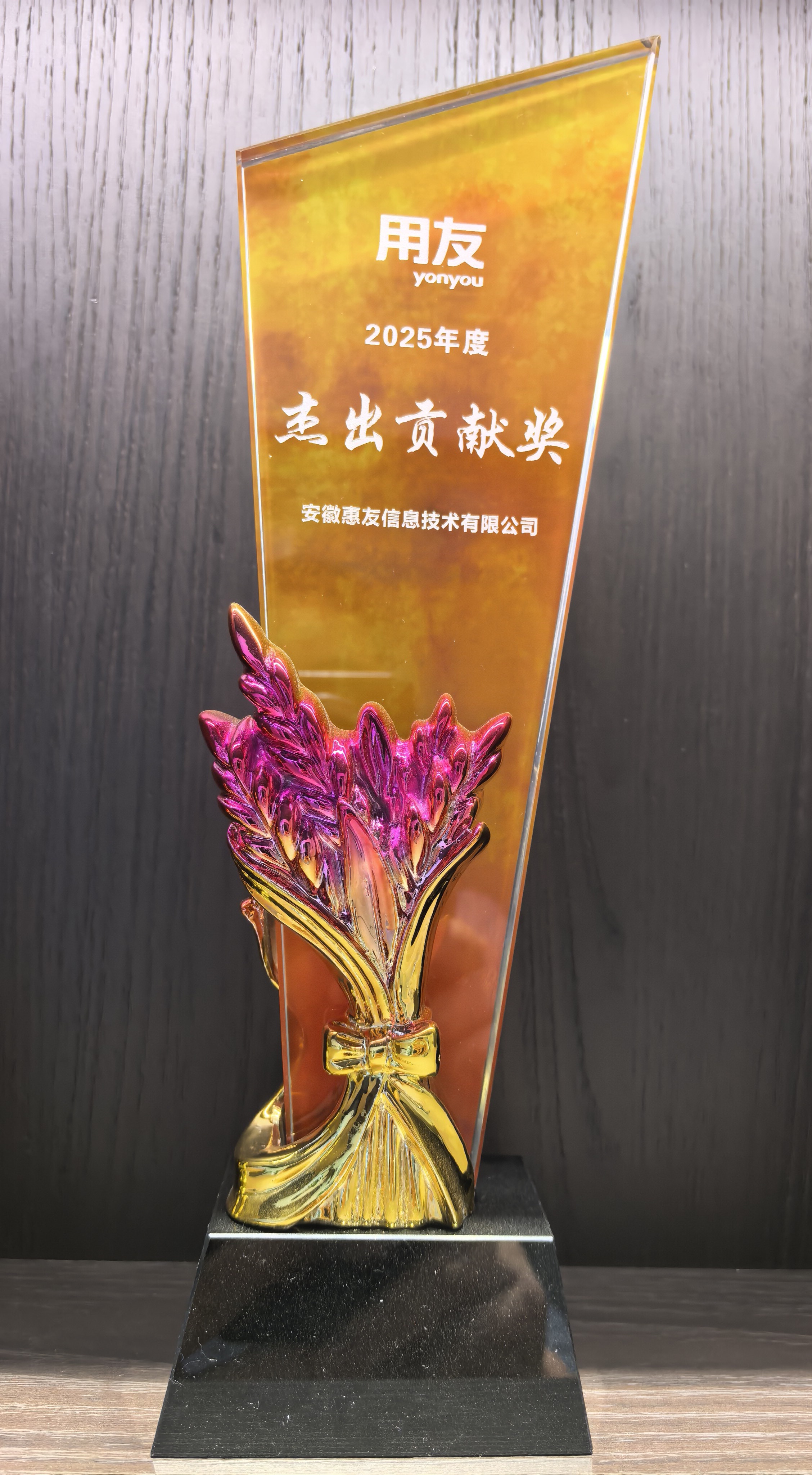 安徽惠友荣获用友软件2025年度杰出贡献奖、YonSuite精英奖、致远互联2噢5年度最佳数智方案服务商